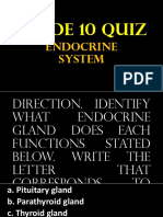 Grade 10 Quiz: Endocrine System