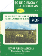 arroz.pdf
