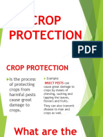CROP Protection