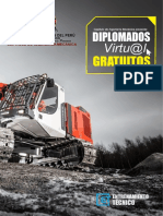 Diplomados Virtuales PDF