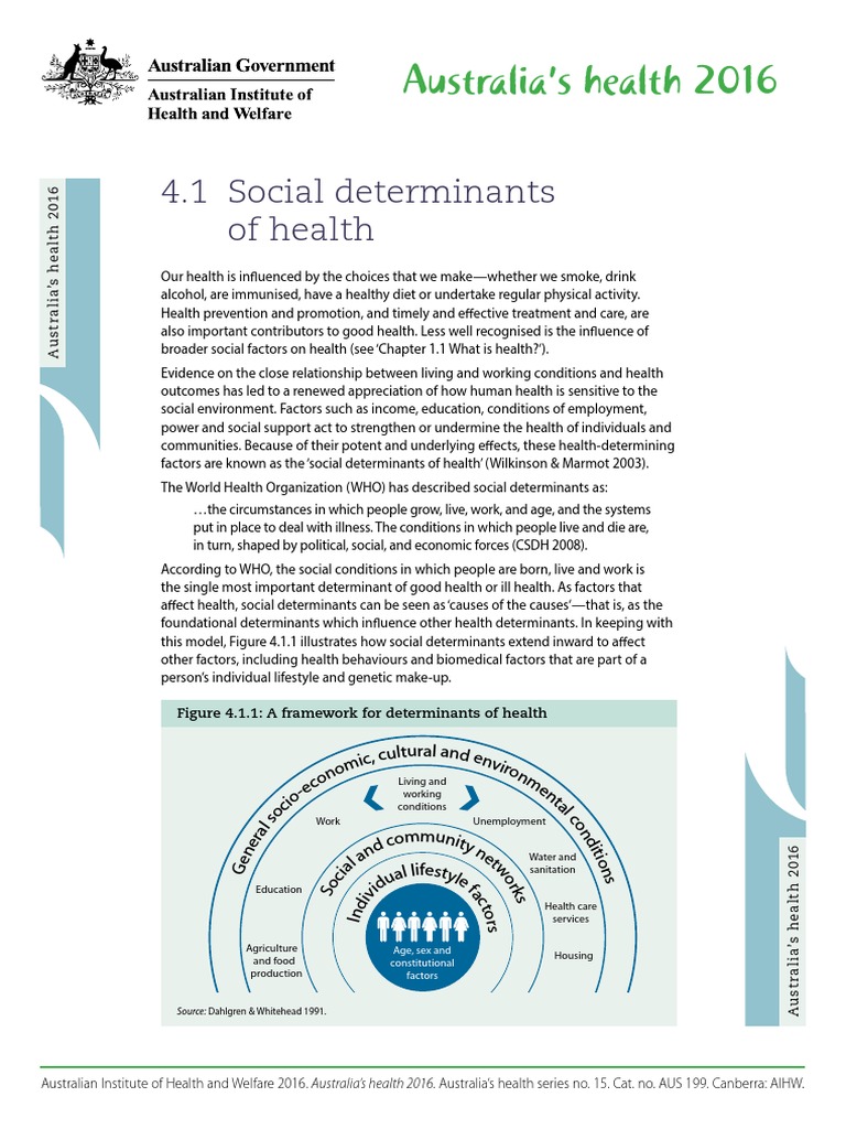 Social Determinants Health | PDF | Socioeconomic Status | Health Equity