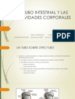 El Tubo Intestinal y Las Cavidades Corporales Completa