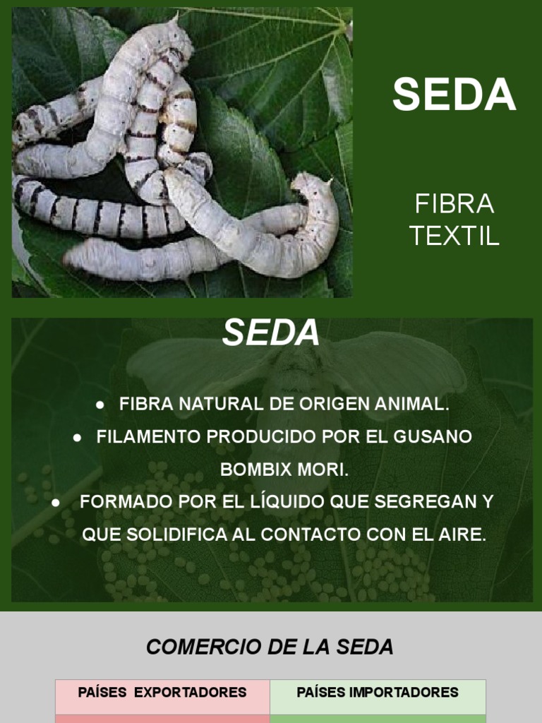 La seda Seda Materiales Prueba gratuita de 30 días Scribd