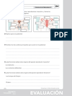 06 - Evaluacion CN PDF