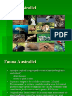 Fauna Australiei (Curs)