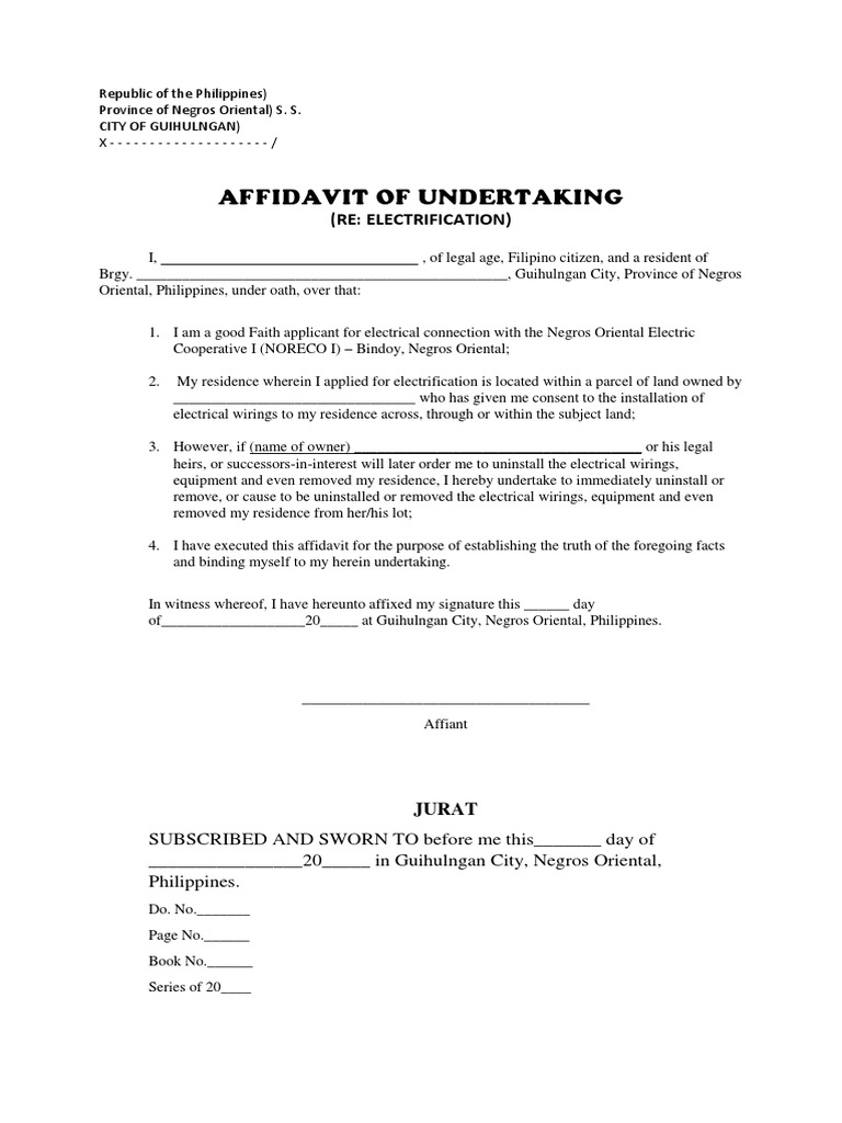 Affidavit of Undertaking