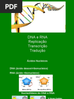 DNA e RNA.pdf