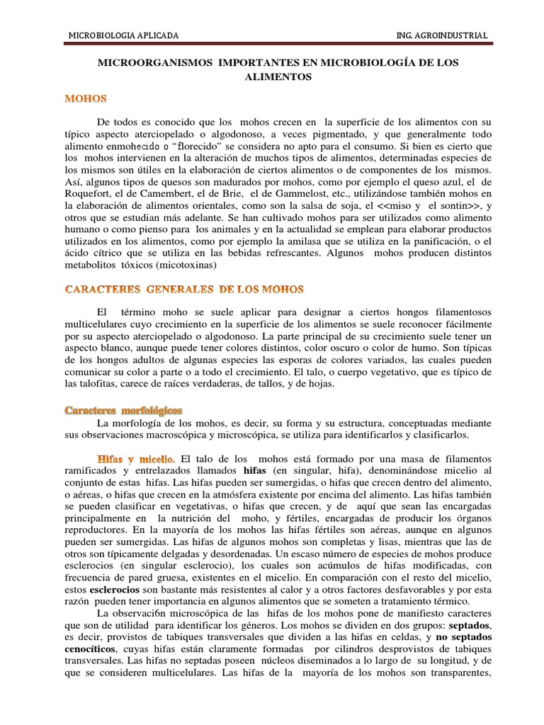 Mohos en Microbiología de Alimentos | PDF | Levadura | Espora