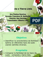 II - DILEMA-COMPOSTA O TIERRA LISTA.ppt