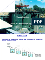 CircuitoLixiviacionPorAgitacion PDF