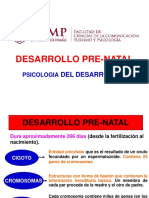 1.desarrollo Prenatal