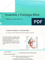 Anatomía y Fisiología Biliar