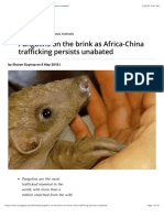 Pangolins On The Brink As Africa-China Trafficking Persists Unabated