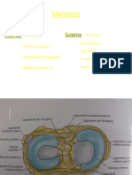 Rodilla 2