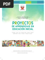 0 Guía de Proyectos