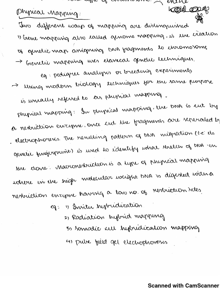 Scanned Document Compilation | PDF