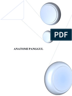 ANATOMI_PANGGUL.docx