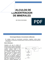 CALCULOS EN CONCENTRACION DE MINERALES.pdf