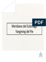 15_Meridiano Del Estmago Yangming Del Pie