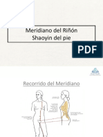 20_Meridiano Del Rinon Shaoyin Del Pie