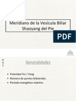 23 - Meridiano de La Vescula Biliar Shaoyang Del Pie