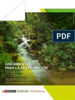 15.05-Lineamientos-restauracion-FINAL-alta.pdf