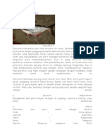 Download BUDIDAYA IKAN PATIN by slametsujak SN41254264 doc pdf