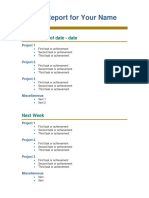 Status Report format.docx