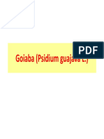 Goiaba (Psidium Guajava L 2011-1