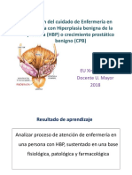 Gestión Del Cuidado en Persona Con HBP (Modo de Compatibilidad)