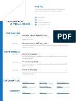 FORMATO CV Plantilla CV