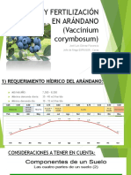 Riego y Fertilización en Arándano (Vaccinium Corymbosum)