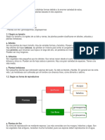 Clasificacion de Las Plantas