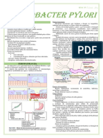 RESUMO - Helicobacter pylori