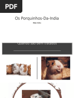 Os Porquinhos Da India
