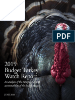 2019 Budget Turkey Watch Report