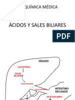 Acidos y Sales Biliares