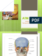 Articulación Temporomandibular