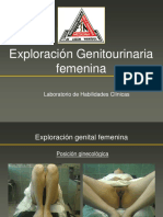 Exploracion Genitourinaria Femenina
