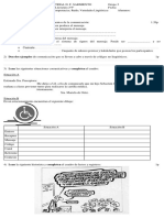 Prueba 2°5° Tema2