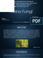 Reino Fungi