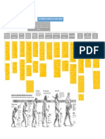 Mapa Conceptual Los Homo Sapiens