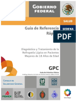 RR Nefropatía Lupica PDF