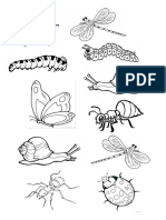 coloring insects.docx