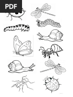 Coloring Insects