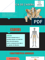 Biomecánica de Cadera