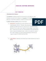 FISIOLOGÍA+DEL+SISTEMA+NERVIOSO.doc