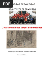 11_ESTRUTURA E ORGANIZAÇÃO DOS CBs.pdf