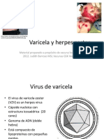 Varicela y Herpes Zoster- Varilrix Judith Aprobada