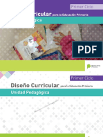 DisenÞo Curricular PBA-UP.pdf